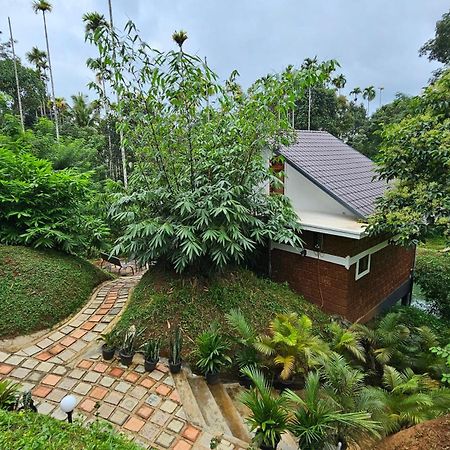 Casta Wild Resort Batheri Ngoại thất bức ảnh