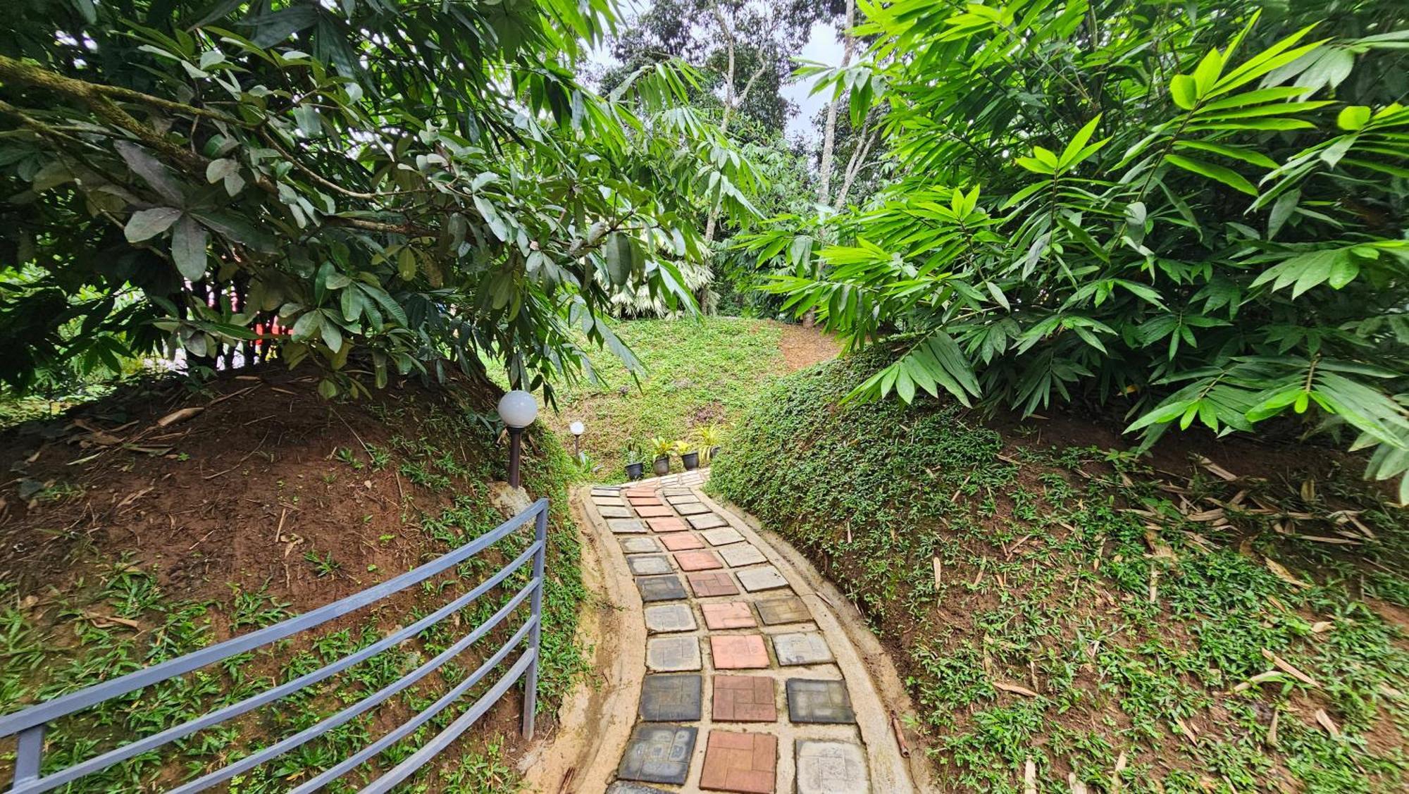 Casta Wild Resort Batheri Ngoại thất bức ảnh